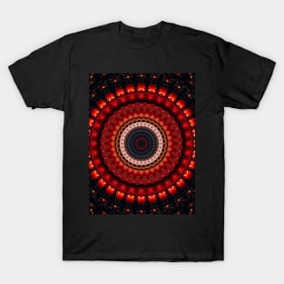 Chinese New Year T-Shirt